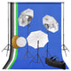 Vidaxl Photo Studio Set con lampade, ombrelli, sfondo e riflettore