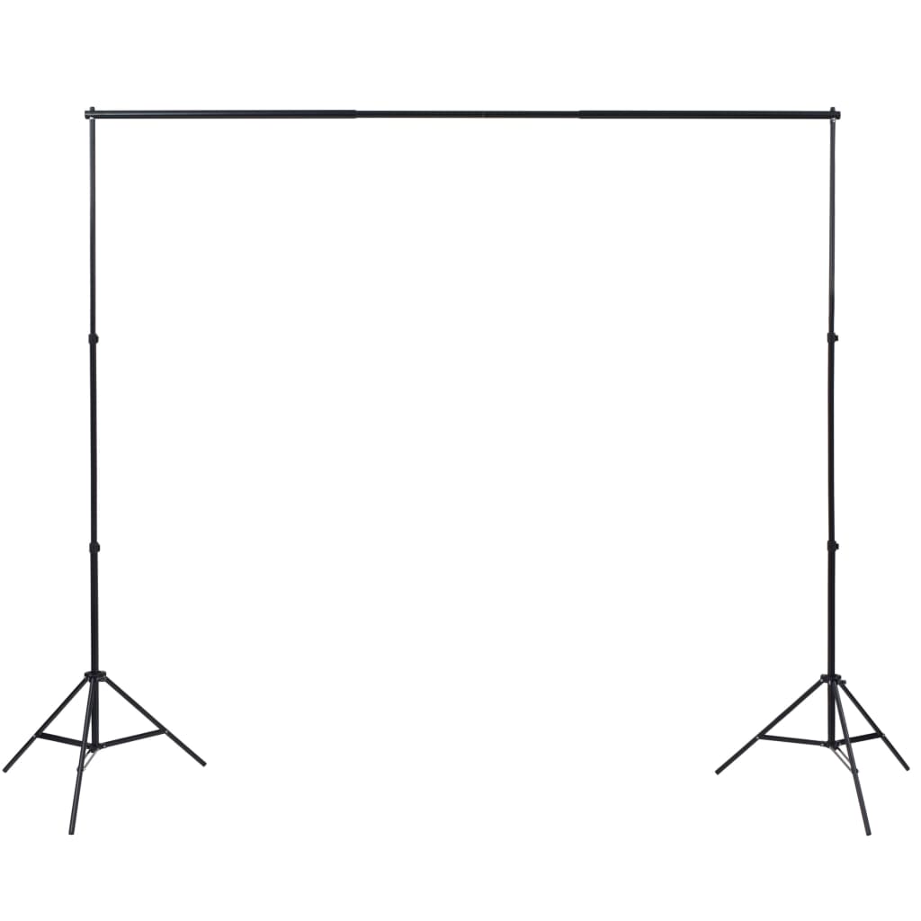Vidaxl Photo Studio Set con lampade, sfondo e riflettore