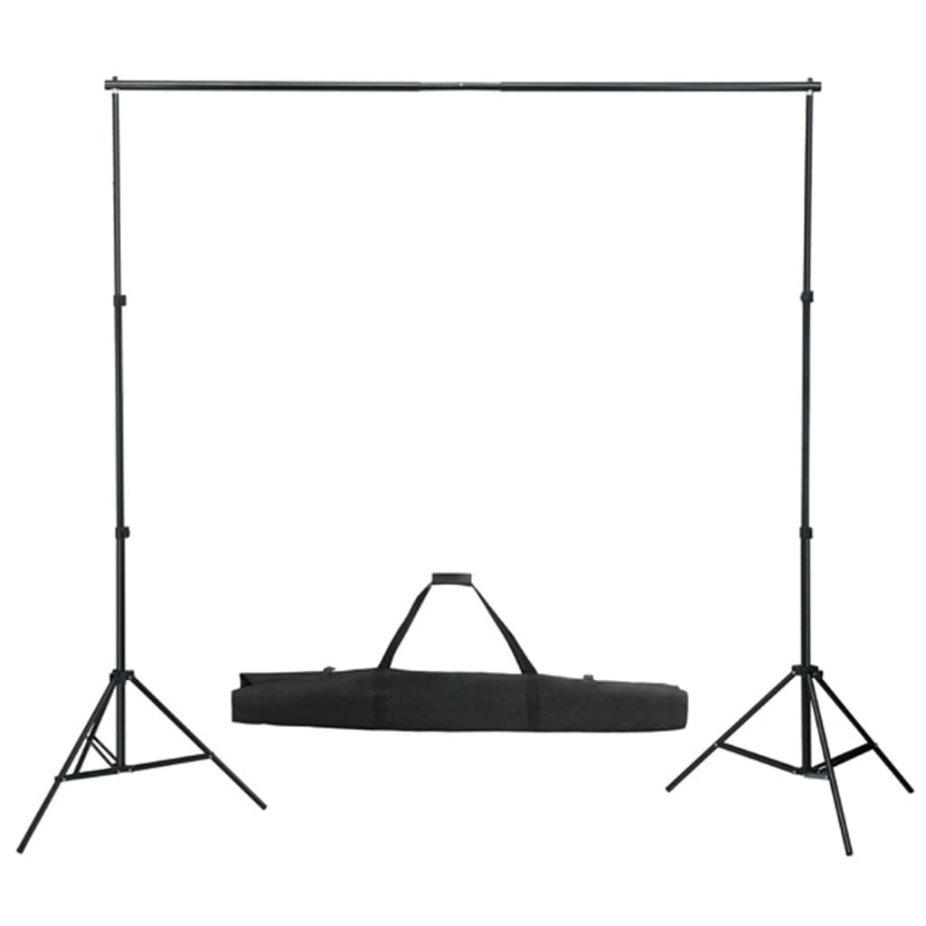 Vidaxl Photo Studio Conjunto con lámparas, fondo y reflector