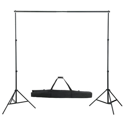 Vidaxl Photo Studio Set con lampade, sfondo e riflettore