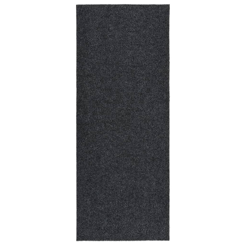 Vidaxl Droogloopmat 100x250 cm antracite