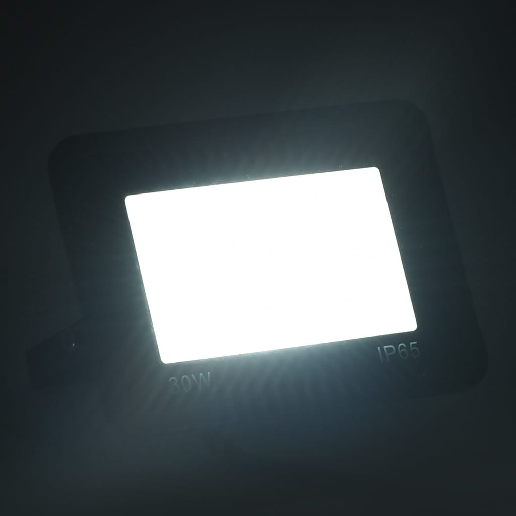 Vidaxl Spotlights 2 ST LED 30 W White frío