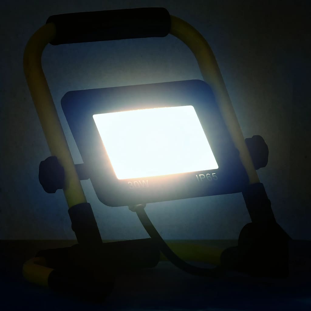 Faretto VidaXL con maniglia LED 30 W bianco freddo