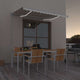 Vidaxl Luifel estendibile manualmente con crema LED 300x250 cm