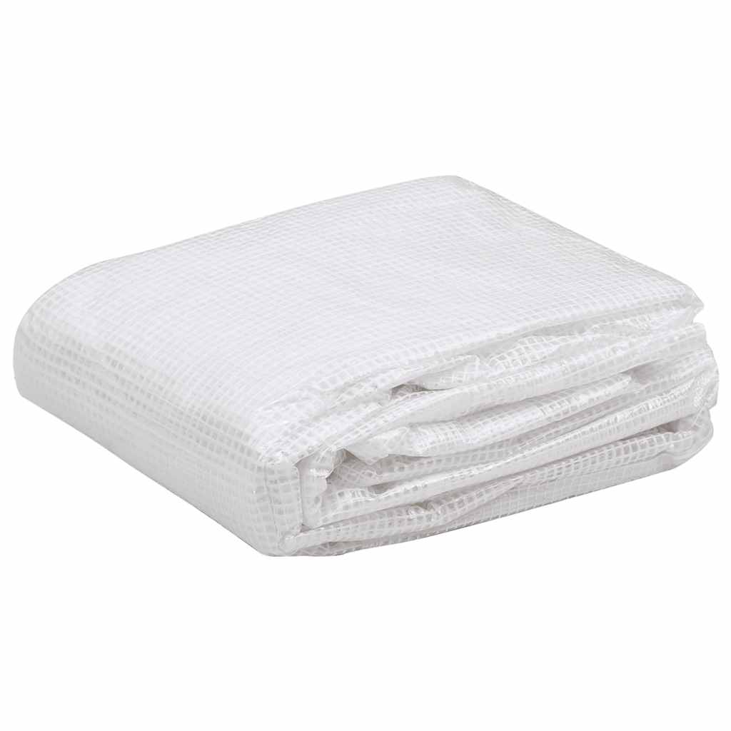 Vidaxl Kashoes Sostituzione (18 m²) 3x6x2 m trasparente