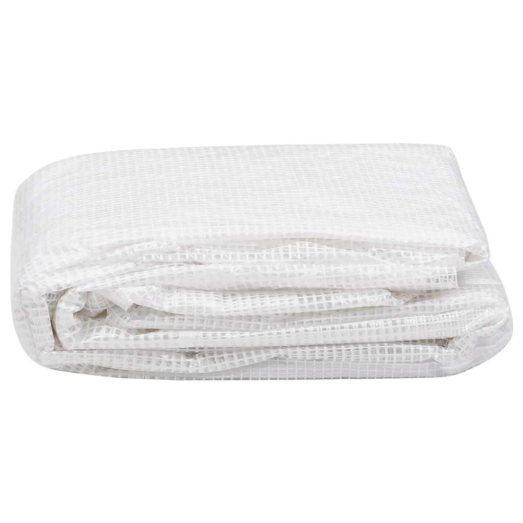 Vidaxl Kashoes Sostituzione (18 m²) 3x6x2 m trasparente