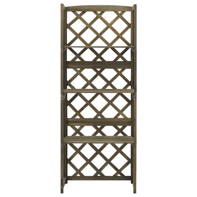 Vidaxl Latwerk con ripiani 55x30x140 cm grigio grigio pino solido