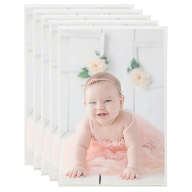 Frame fotografici Vidaxl 5 pezzi per la tabella 21x29,7 cm MDF Silver colorato