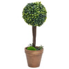 Vidaxl Piante artificiali con vaso a 2 St Boxwood Formazione sferica 56 cm Verde