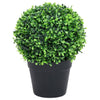 Vidaxl Piante artificiali con pentola 2 St Boxwood Formazione sferica 32 cm Verde