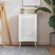VidaXL Cabinet door with slats 61.5x39.4 cm solid pine white white