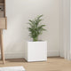 Vidaxl Planter Big 40x40x40 cm de madera procesada blanca