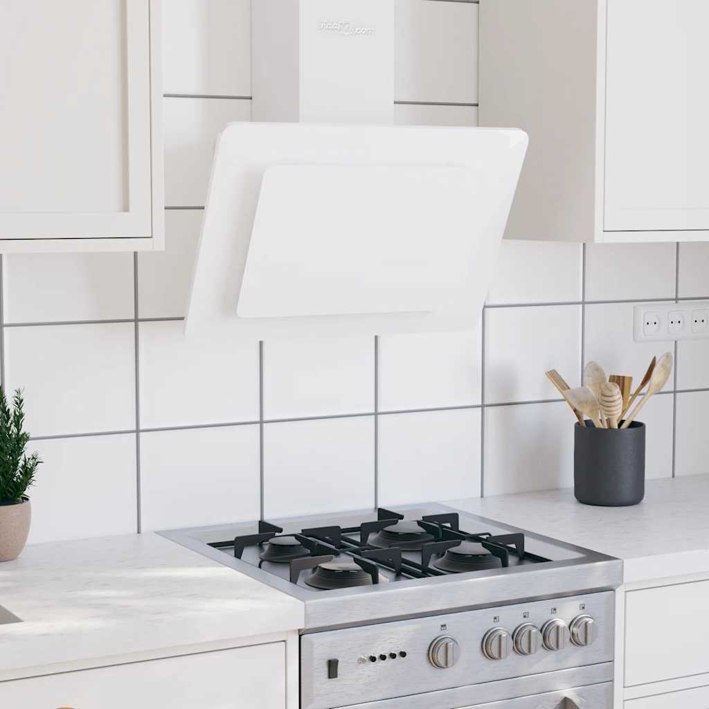 Cappuccio di estrattore per pareti Vidaxl 60 cm in acciaio inossidabile e bianco temprato