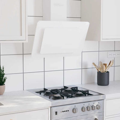 Cappuccio di estrattore per pareti Vidaxl 60 cm in acciaio inossidabile e bianco temprato