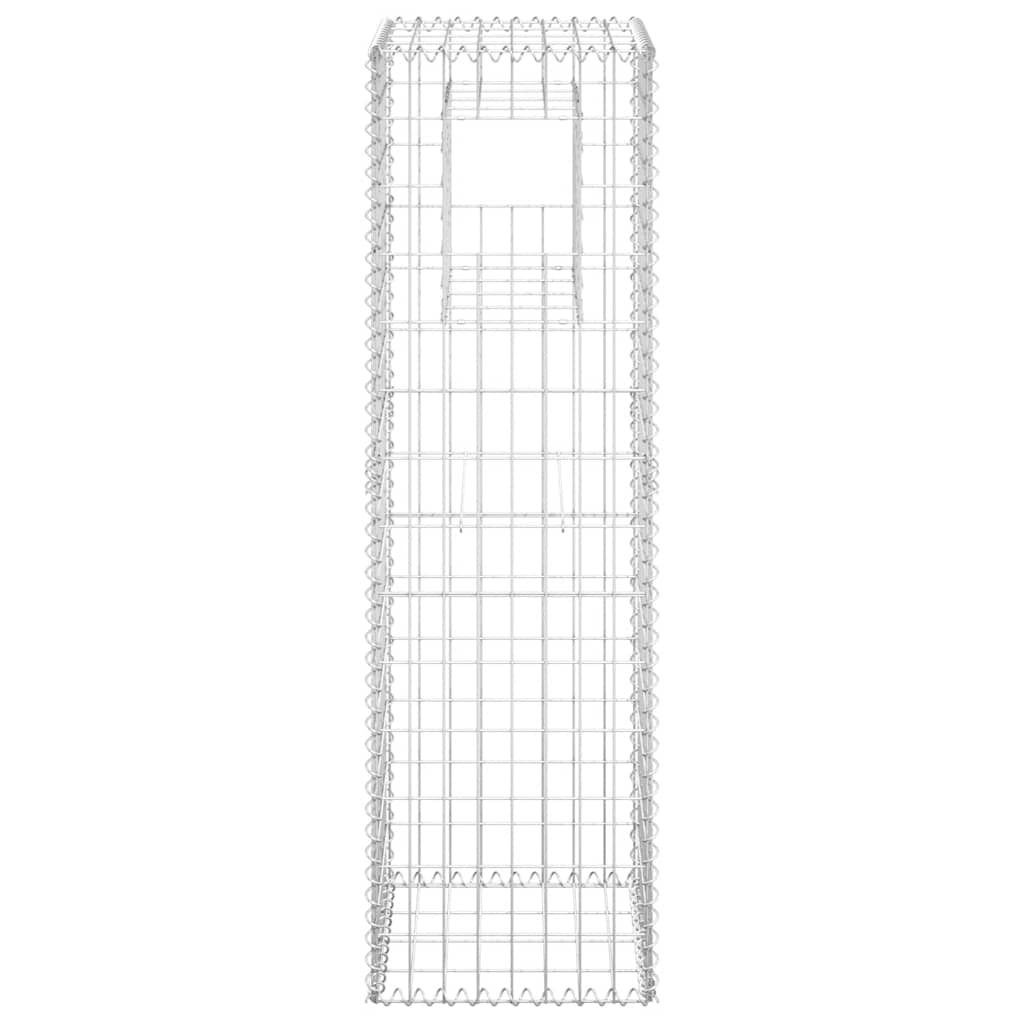 Vidaxl Schanskorf Pole 40x40x140 cm de hierro