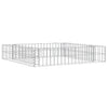 Vidaxl Gabion Fiorter ha raccolto acciaio zincato 100x100x20 cm