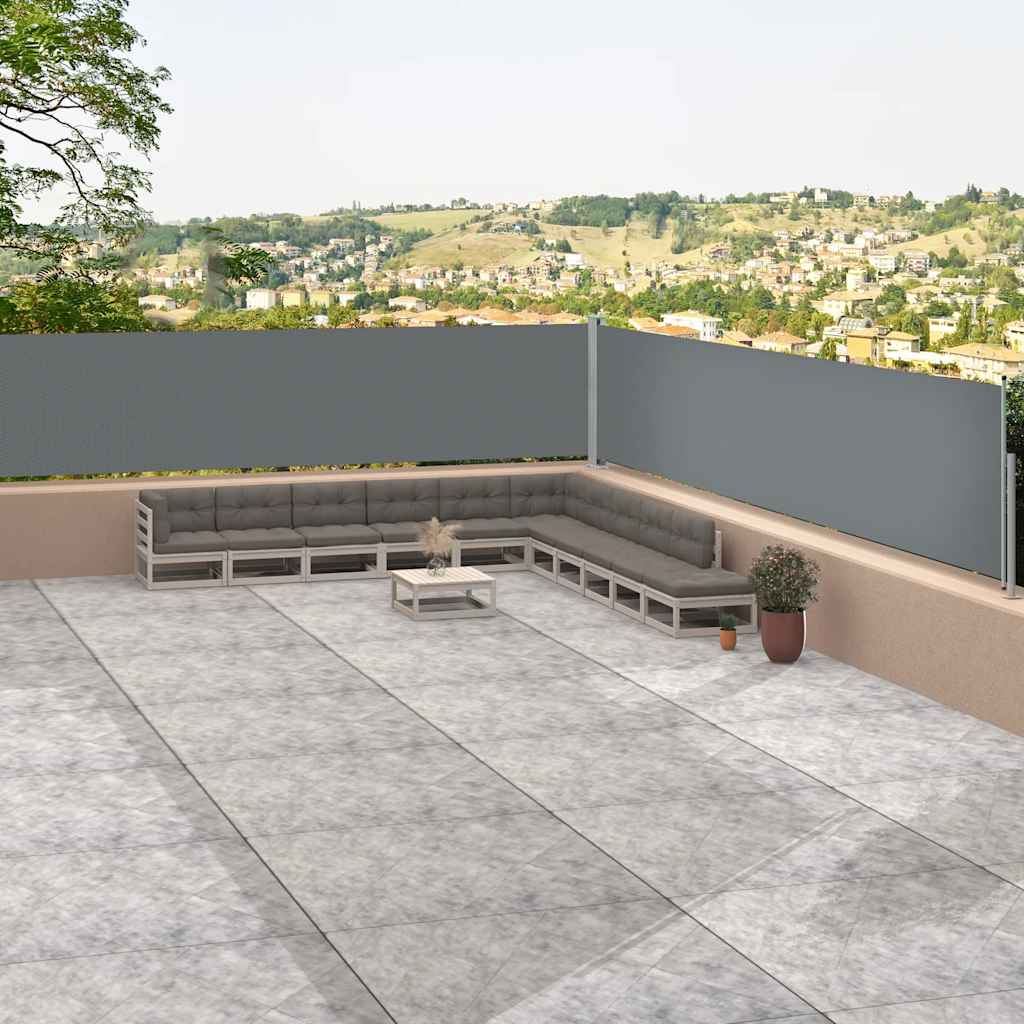 VIDAXL Parature estendibile 117x1200 cm antracite