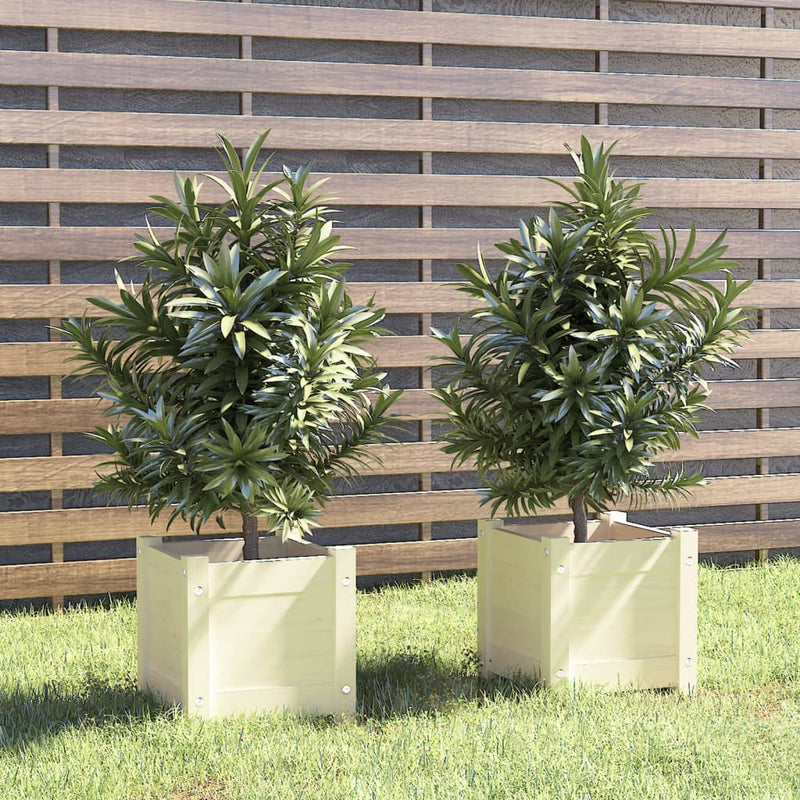Vidaxl Fiorsters 2 St 31x31x31 cm Pino solido bianco