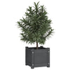 Vidaxl Fioter 2 PCS 31x31x31 cm Grigio in pino solido
