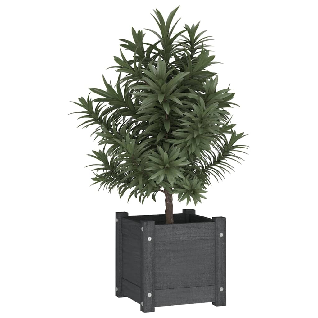 Vidaxl Fioter 2 PCS 31x31x31 cm Grigio in pino solido