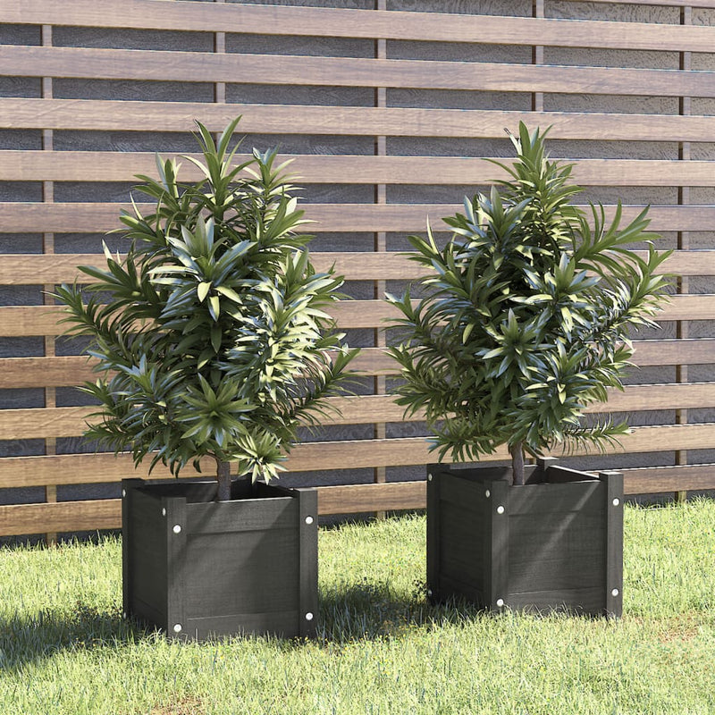 Vidaxl Fioter 2 PCS 31x31x31 cm Grigio in pino solido