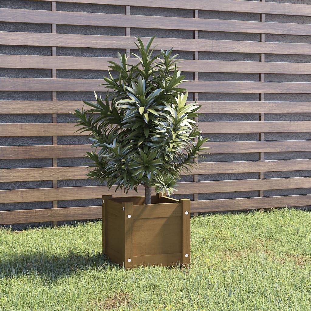 Vidaxl Planning Box 31x31x31 cm de pino sólido marrón marrón