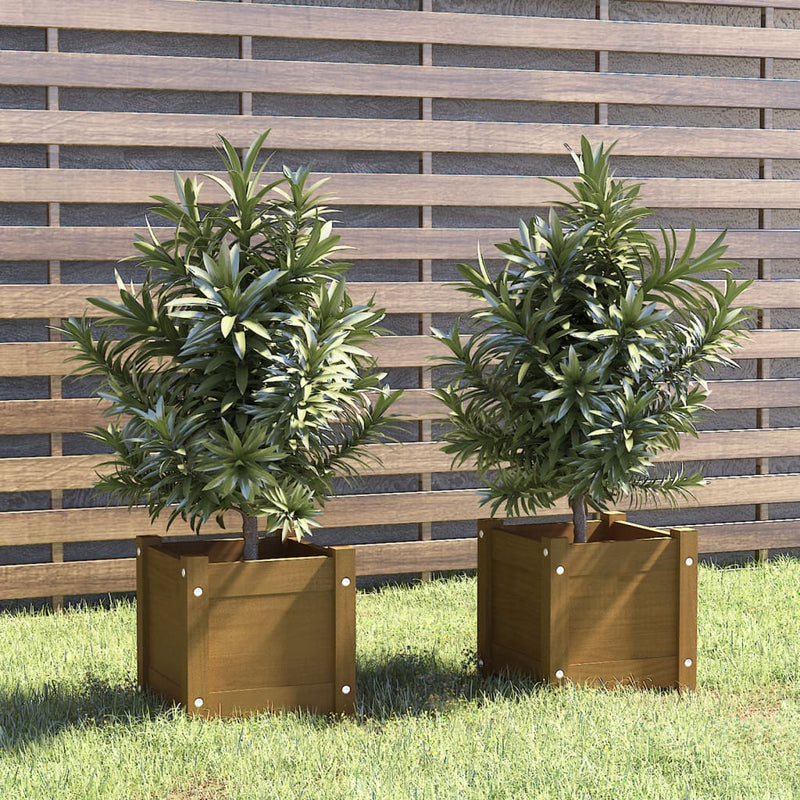 Vidaxl Fioter 2 pezzi 31x31x31 cm Miele di pino solido marrone