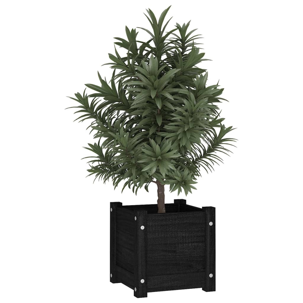 Casella di pianificazione Vidaxl 31x31x31 cm Pino solido nero