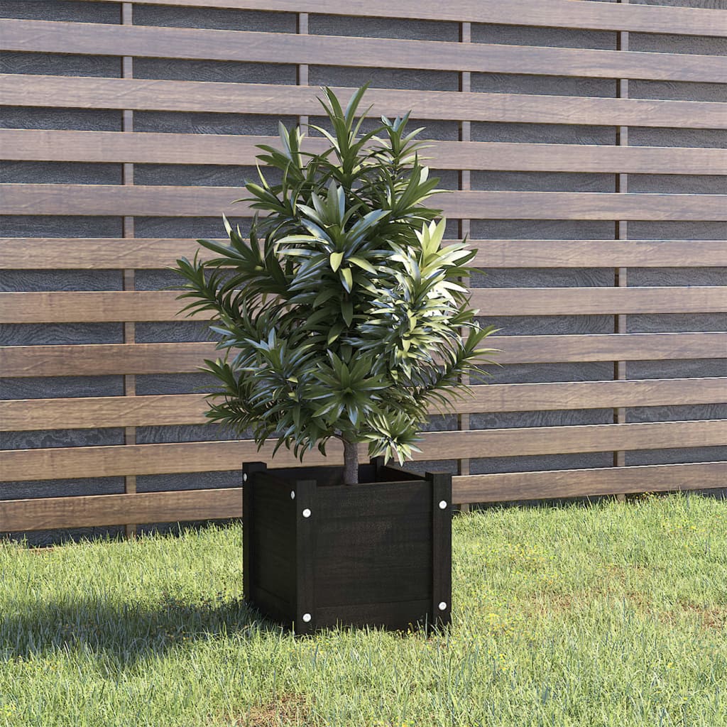 Casella di pianificazione Vidaxl 31x31x31 cm Pino solido nero