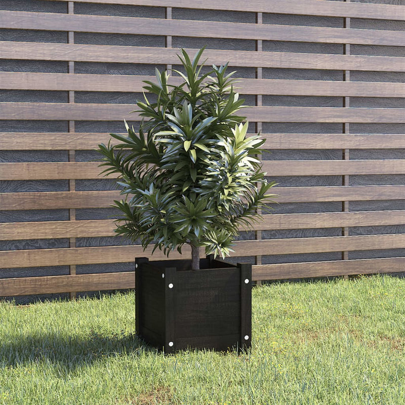 Casella di pianificazione Vidaxl 31x31x31 cm Pino solido nero