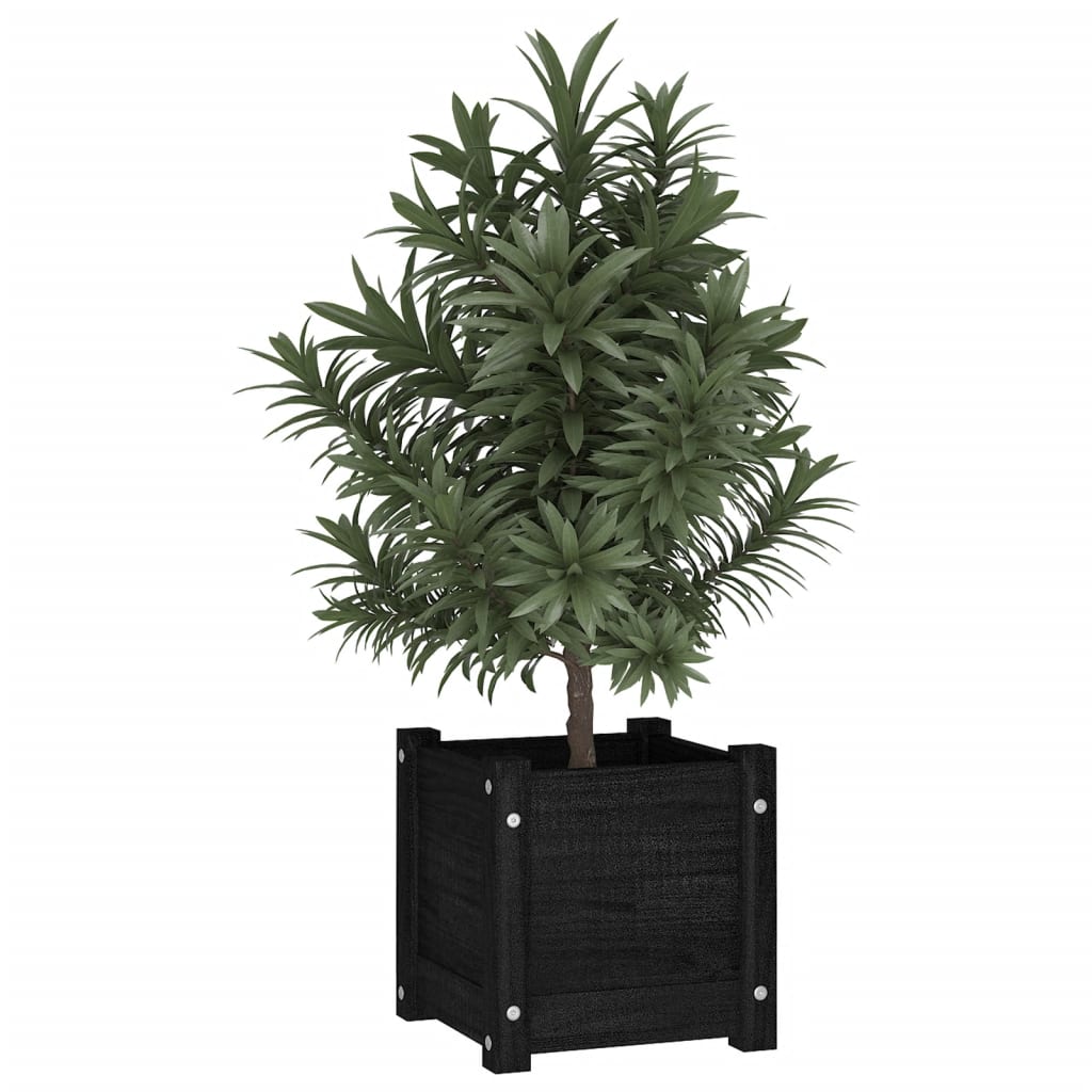 Plantadores Vidaxl 2 PCS 31X31X31 CM Pine Solid Pine Negro