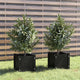 Plantadores Vidaxl 2 PCS 31X31X31 CM Pine Solid Pine Negro
