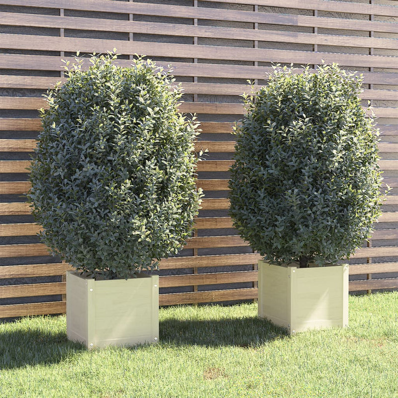 Vidaxl fioriere 2 ST 40x40x40 cm Pino solido bianco