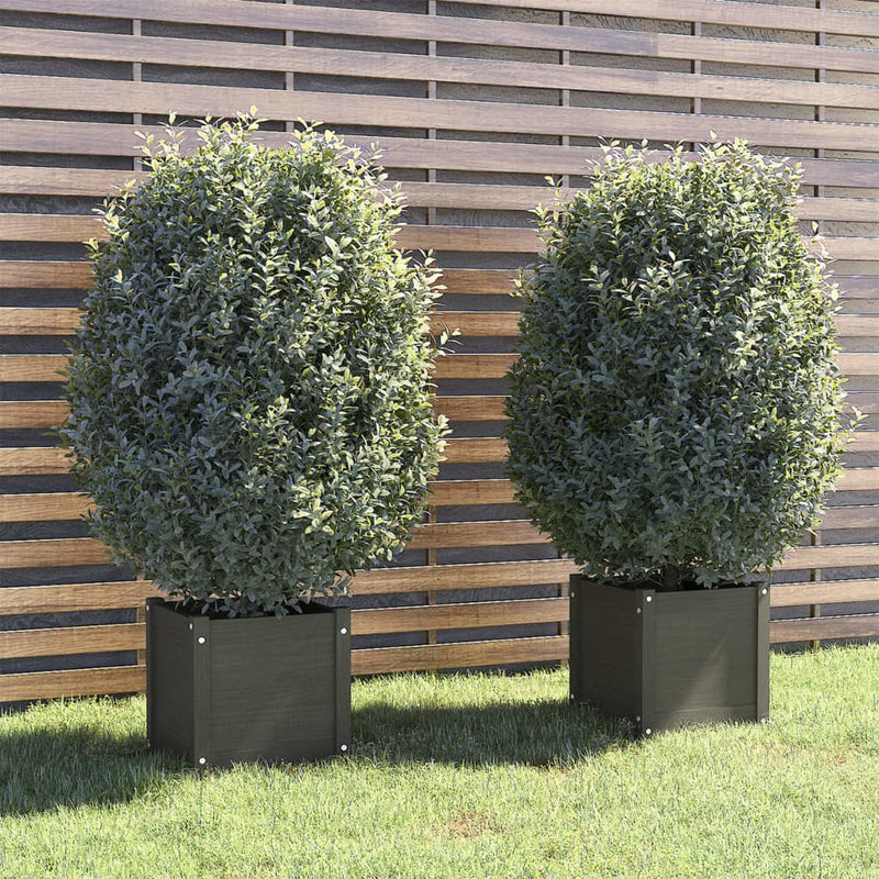 Vidaxl fioriere 2 ST 40x40x40 cm Pinna solido