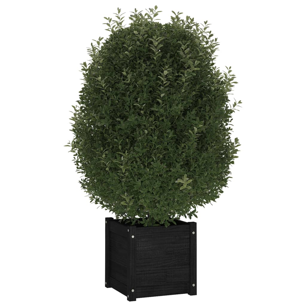 Vidaxl fioriere 2 ST 40x40x40 cm Pino solido nero