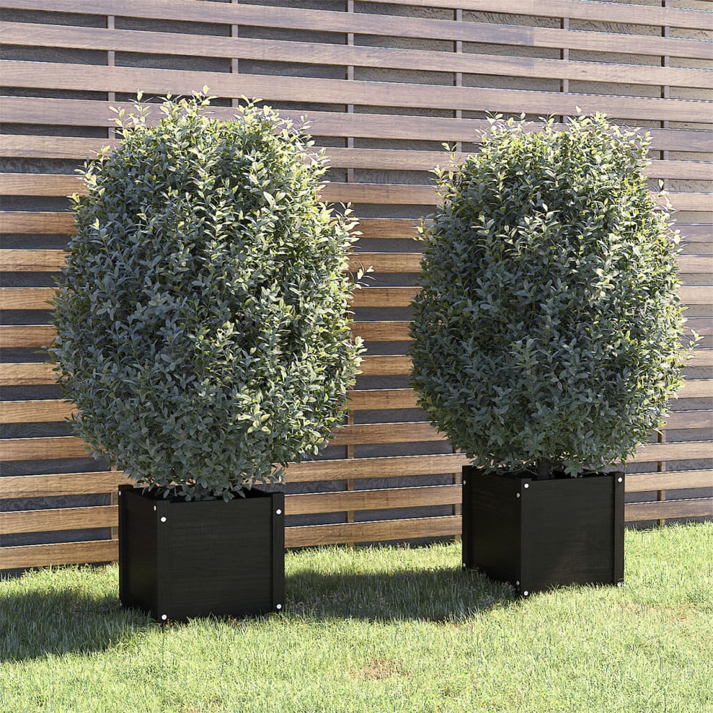Vidaxl fioriere 2 ST 40x40x40 cm Pino solido nero