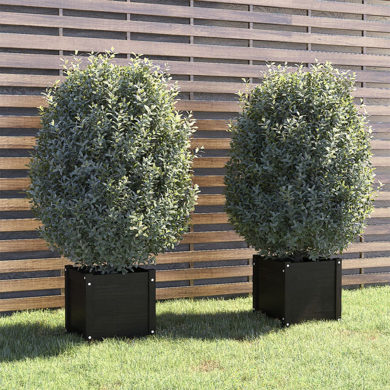 Plantadores Vidaxl 2 ST 40X40X40 CM Pino sólido Negro