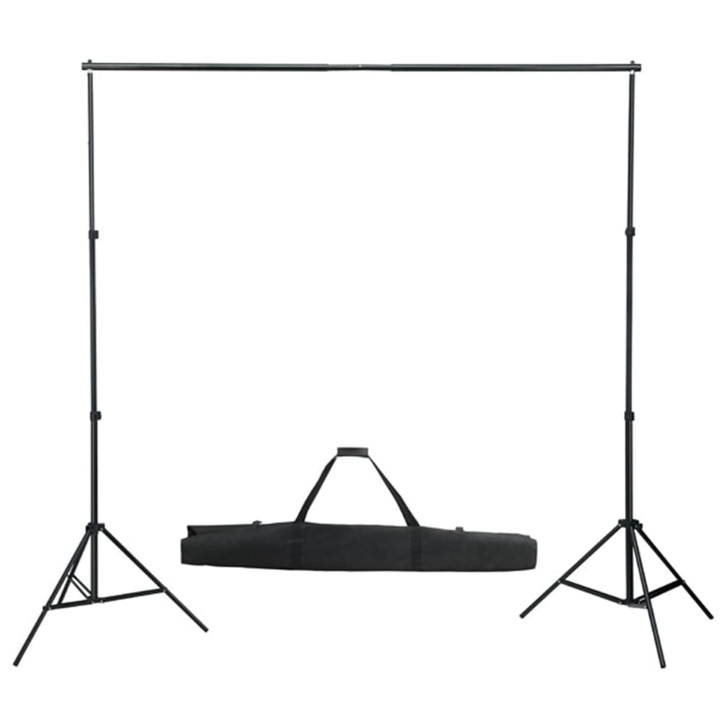 Vidaxl Photo Studio Set con set di illuminazione, sfondo e riflettore