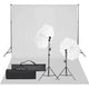 Vidaxl Photo Studio Set con set di illuminazione e sfondo