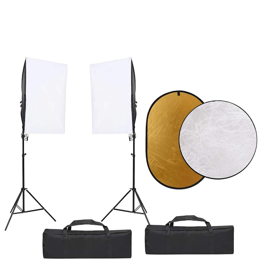 Vidaxl Photo Studio Set con set di illuminazione, sfondo e riflettore
