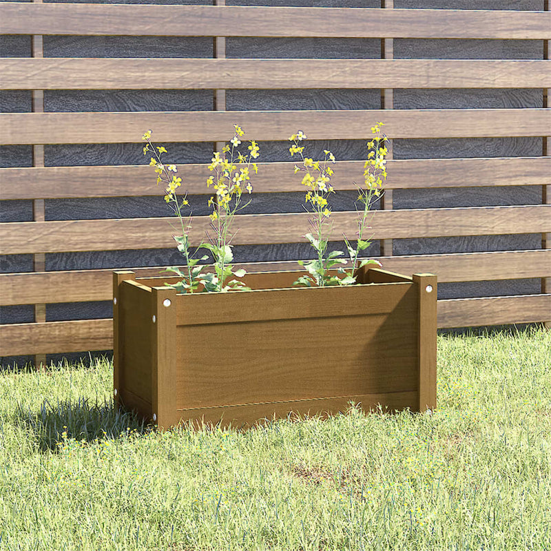 Casella di pianificazione Vidaxl 60x31x31 cm Miele di pino solido marrone