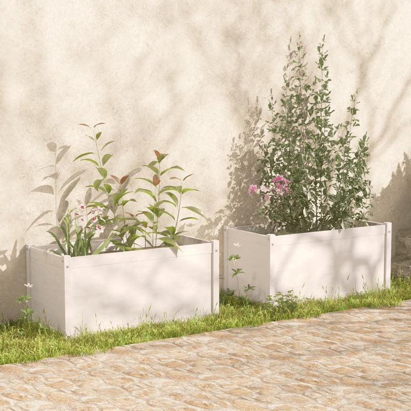 Vidaxl Fiorsters 2 St 100x50x50 cm Pino solido