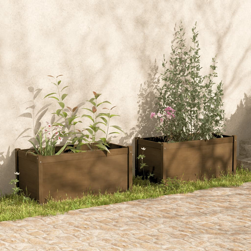 Vidaxl fioriere 2 St 100x50x50 cm Miele di pino solido marrone