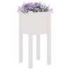 Vidaxl Fioter 2 PCS 31x31x70 cm Pino solido bianco