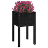 Vidaxl fioriere 2 ST 40x40x70 cm Pino solido nero