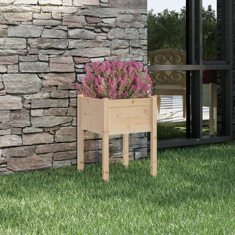 Casella di pianificazione Vidaxl 50x50x70 cm Pino solido
