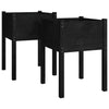 Vidaxl fioriere 2 St 50x50x70 cm Pino solido nero