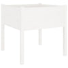 Casella di pianificazione Vidaxl 70x70x70 cm Pino solido