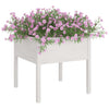 Casella di pianificazione Vidaxl 70x70x70 cm Pino solido