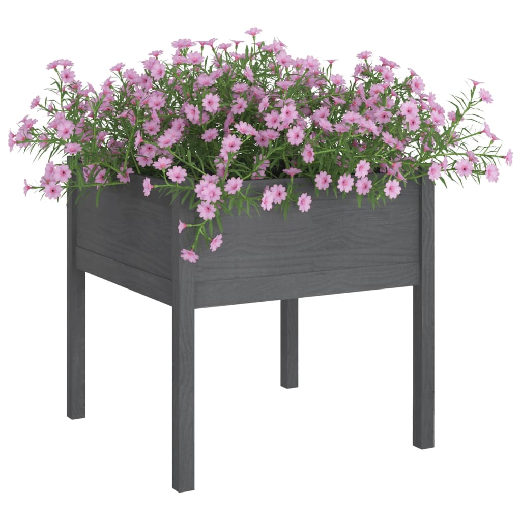 Vidaxl fioriere 2 ST 70x70x70 cm Pinna solido